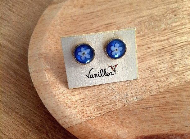 Puces d’oreilles myosotis fond bleu avec vraies fleurs sous résine