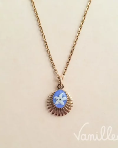 Collier Soleil Myosotis ✨