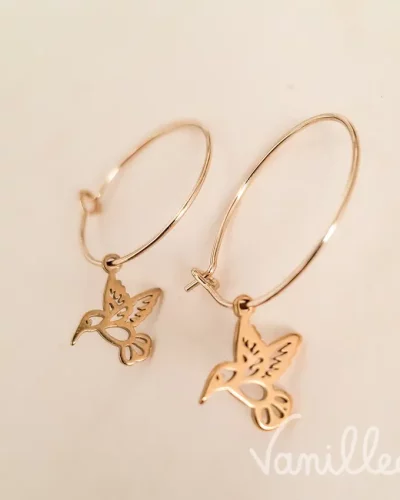 Boucles MANAE