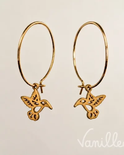 Boucles MANAE