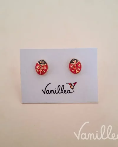 Puces Coccinelle 🐞