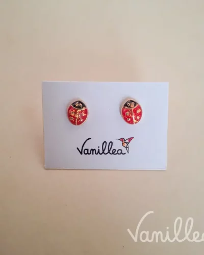 Puces Coccinelle 🐞