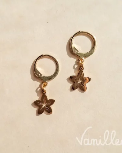 Boucles dormeuses fleur dorées 🌸 NAÉ